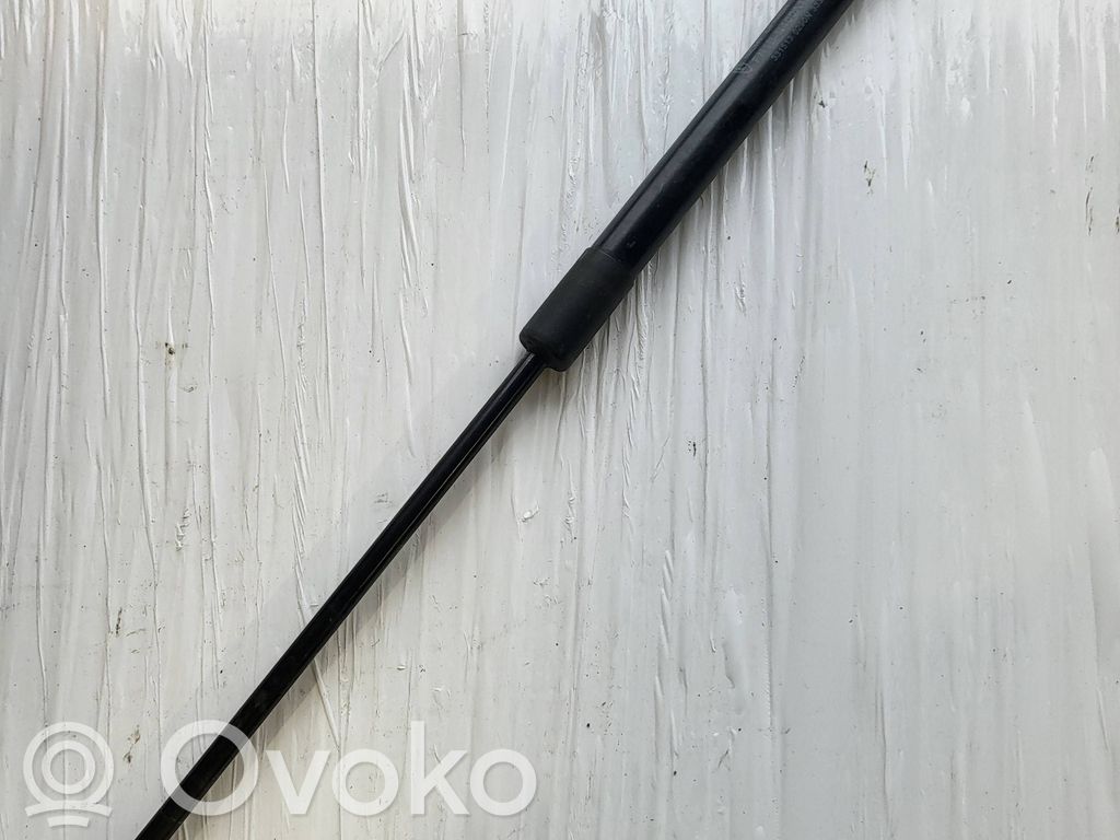 Ford Ecosport Tailgate/trunk strut/damper 