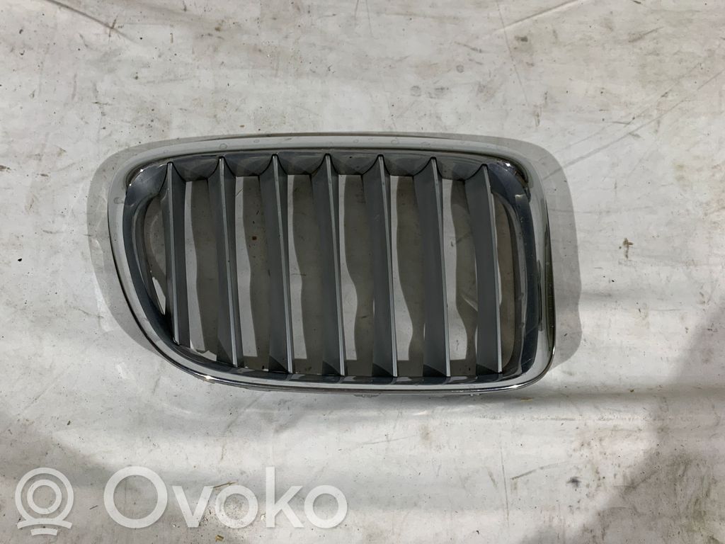 BMW X1 E84 ACC Distronic radar sensor grill/trim 