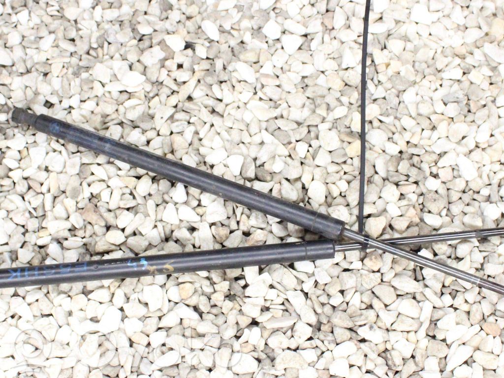 Tailgate/trunk strut/damper   8402405