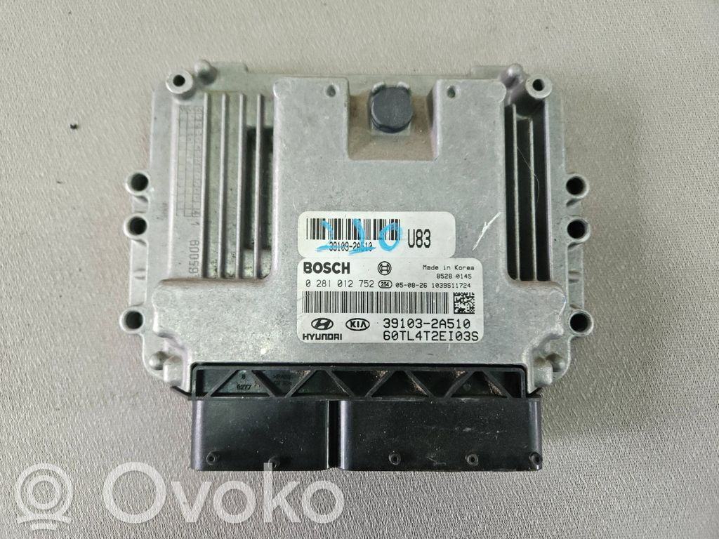 Hyundai Getz Engine control unit/module 