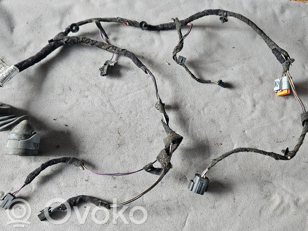 Cableado de puerta delantera   1358001080,18042009