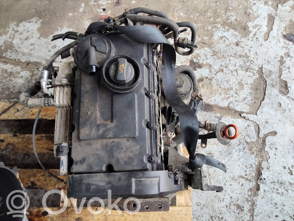 Motor   53G021AB