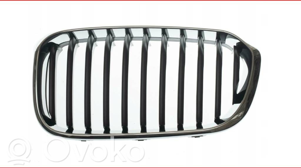 BMW 1 F20 F21 Bonnet/hood grill 