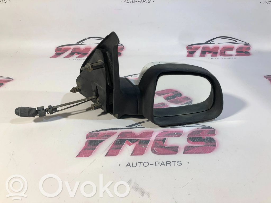 Manual wing mirror   E201795,22020795