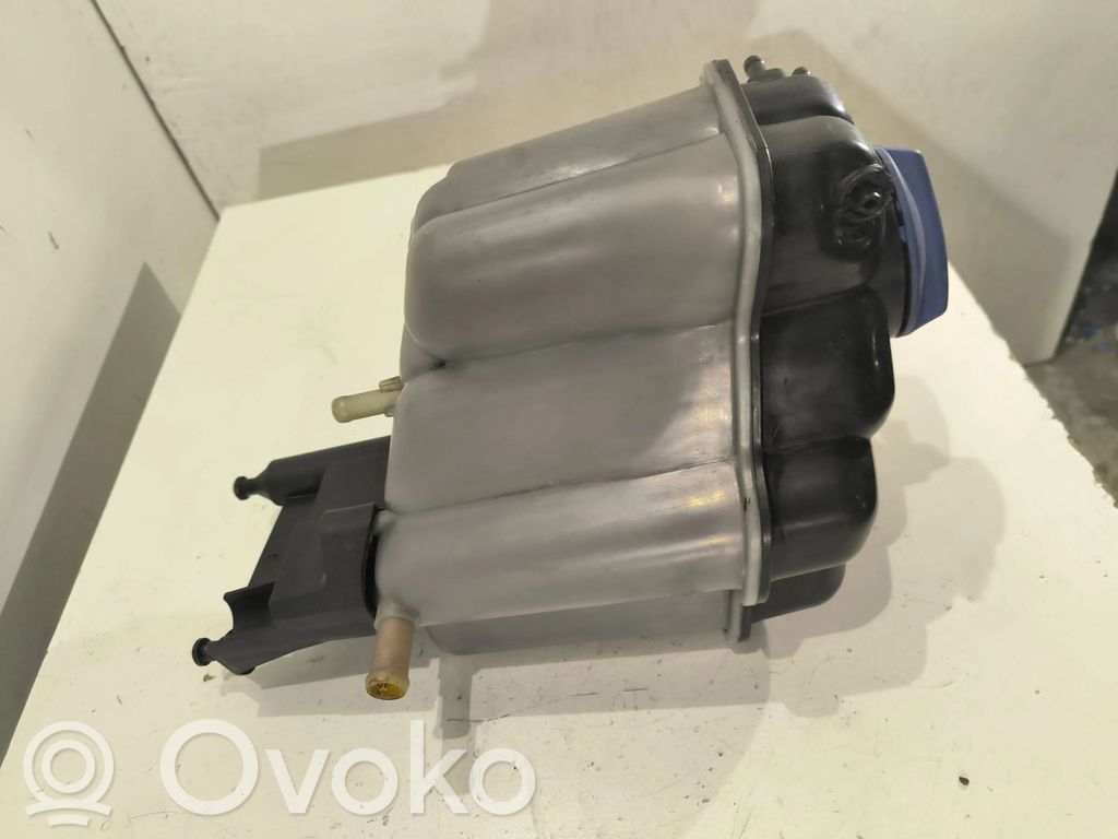 Volkswagen Phaeton Vas expansiune/rezervor lichid de răcire 