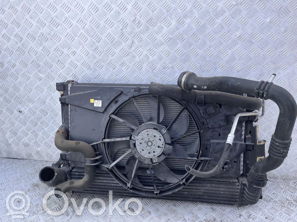 Renault Laguna III Piesă caroserie față 