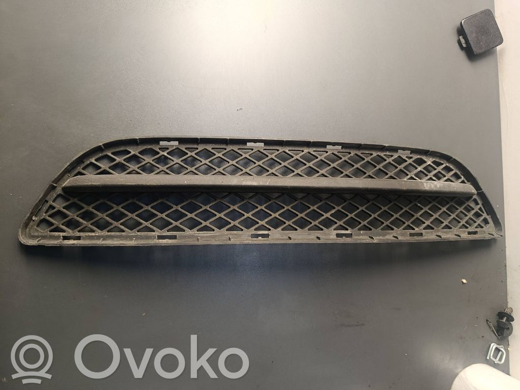 Front bumper lower grill   7154556