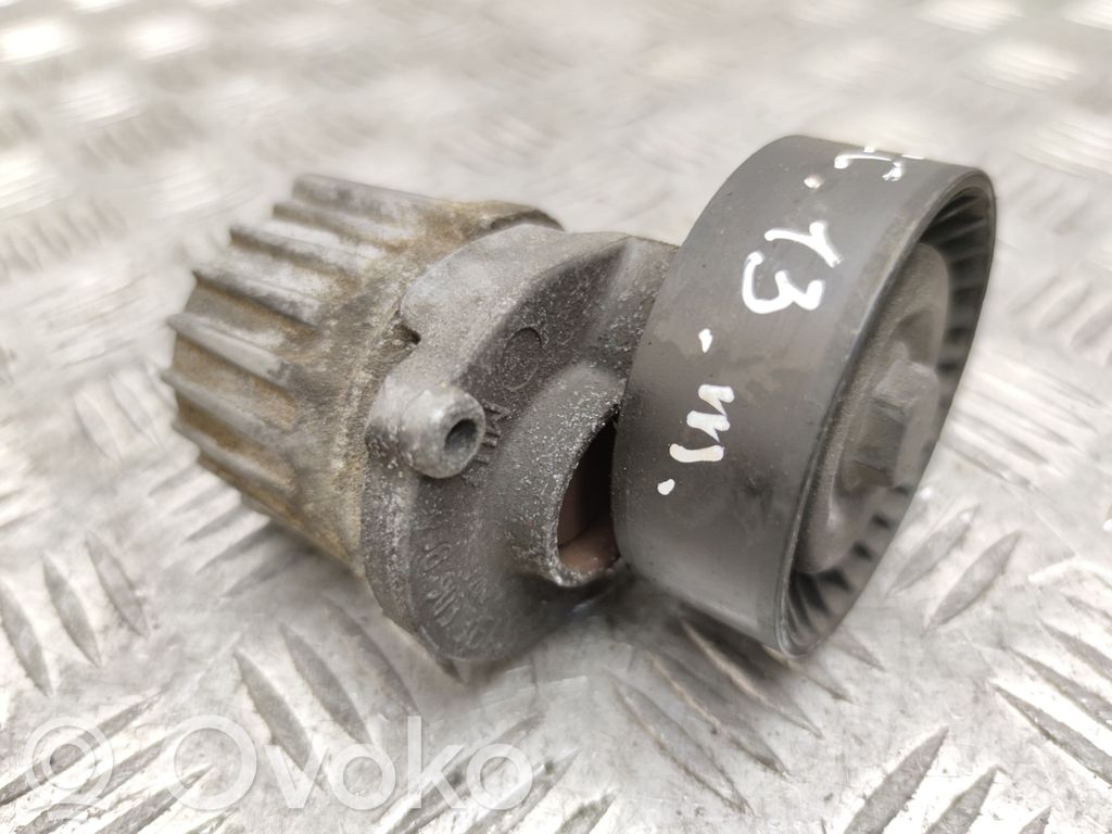 Volkswagen PASSAT CC Napinacz paska wielorowkowego / Alternatora 