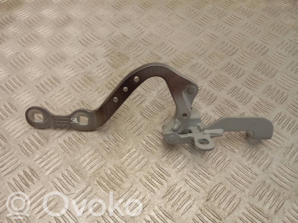 BMW X3 G01 Tailgate/trunk/boot hinge 