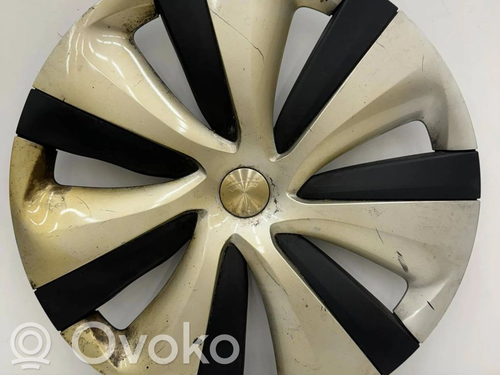 Tesla Model Y R19 wheel hub/cap/trim 