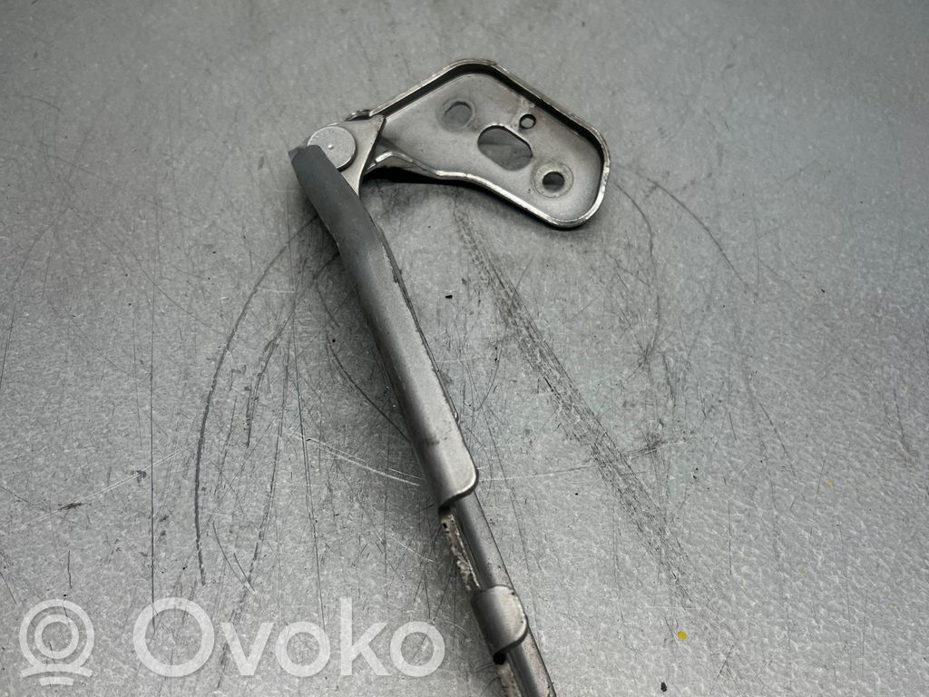 Audi A6 S6 C6 4F Engine bonnet/hood hinges 