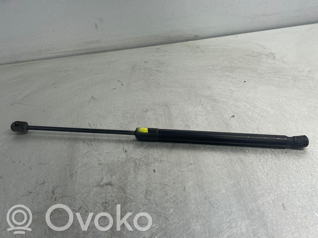 BMW X5 E53 Amortiguador/puntal del maletero/compartimento de carga 