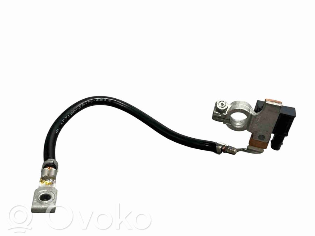 BMW 1 F20 F21 Minusinis laidas (akumuliatoriaus) 
