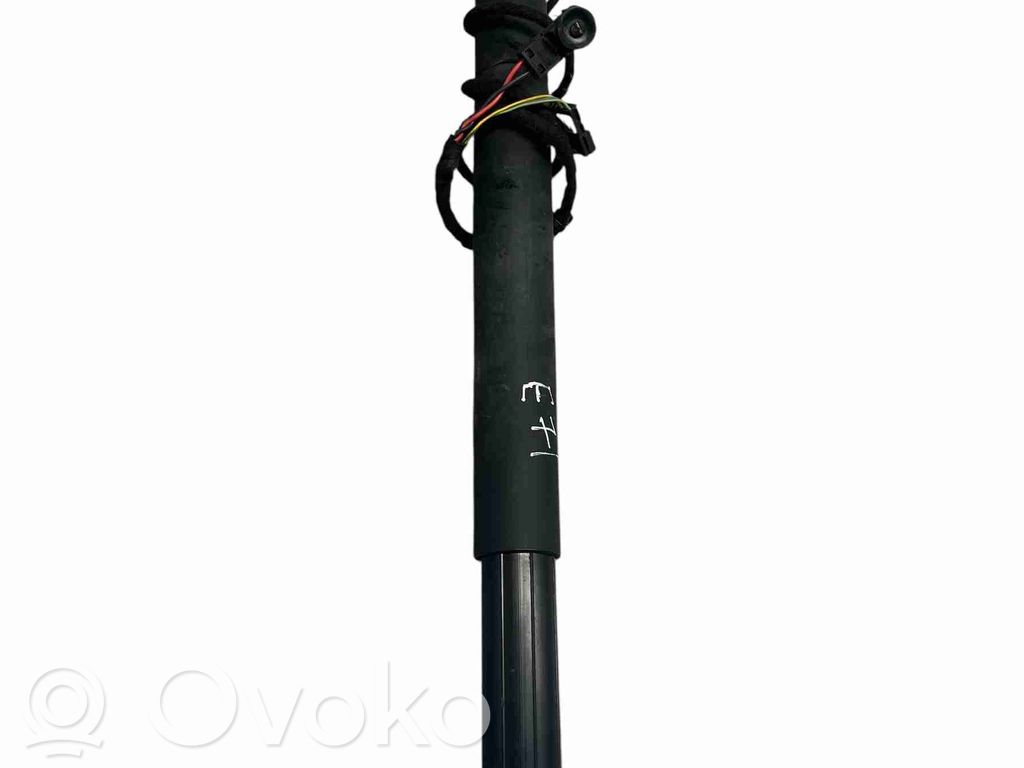 Tailgate/trunk strut/damper   7294589,7294589