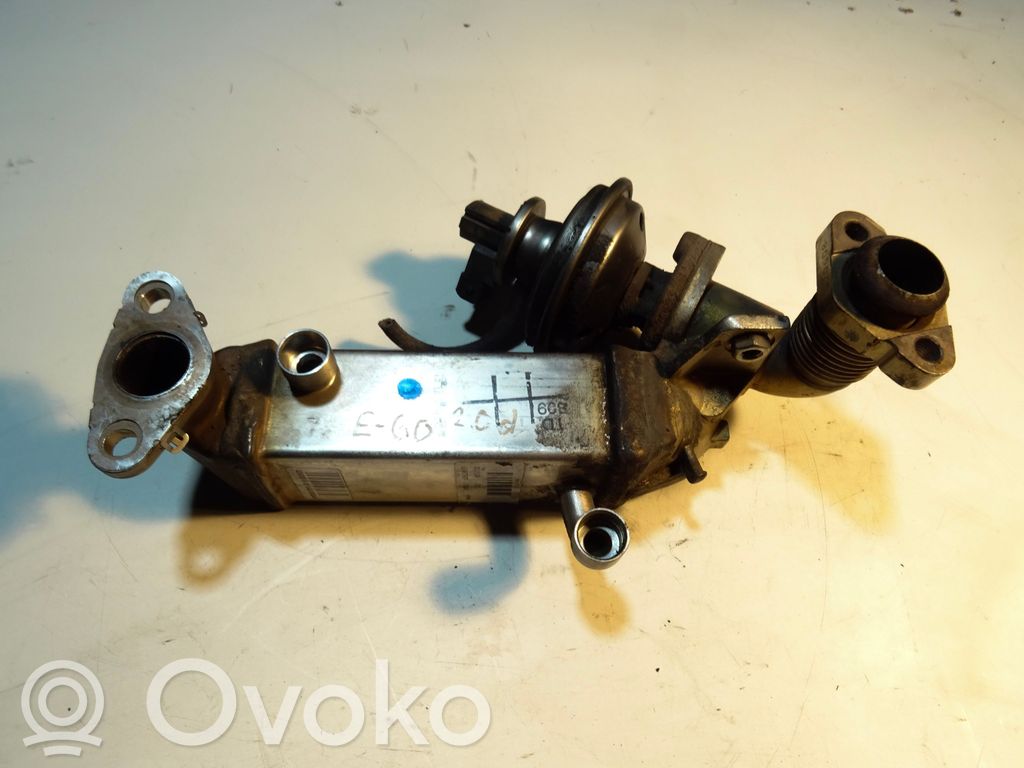 EGR aušintuvas   7801942,032702,780065304