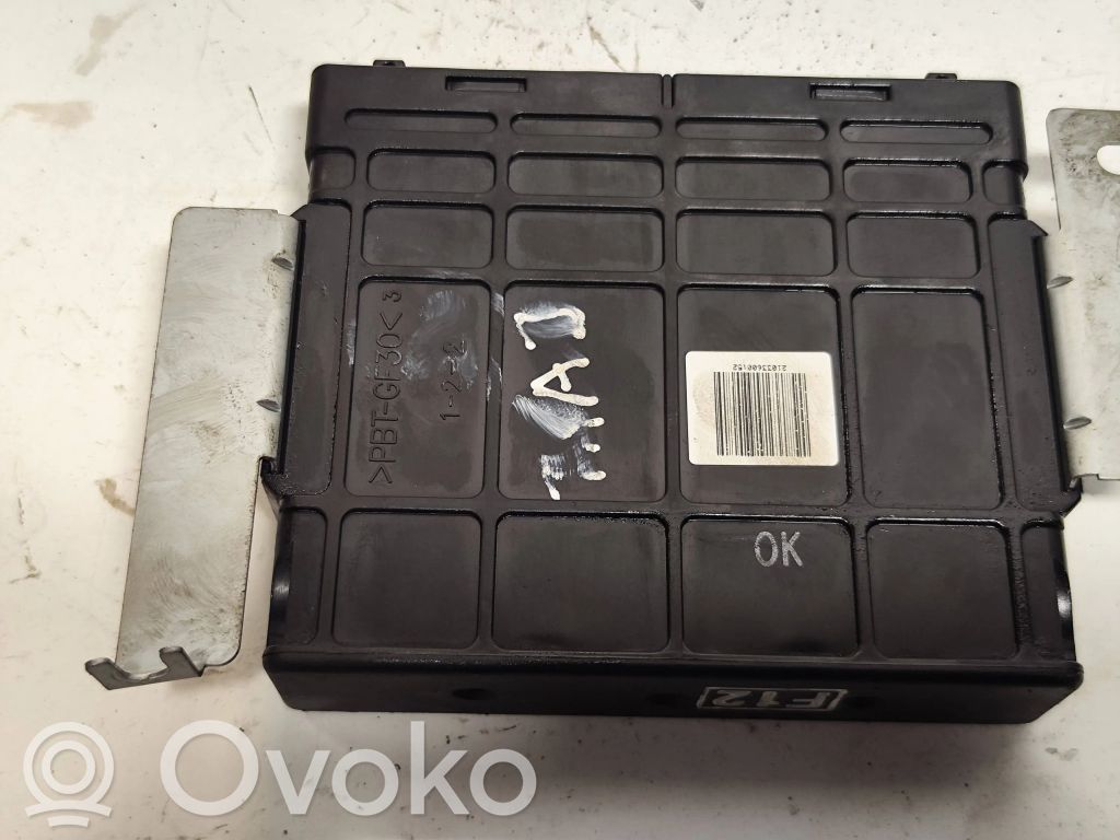 Hyundai Trajet Calculateur moteur ECU 