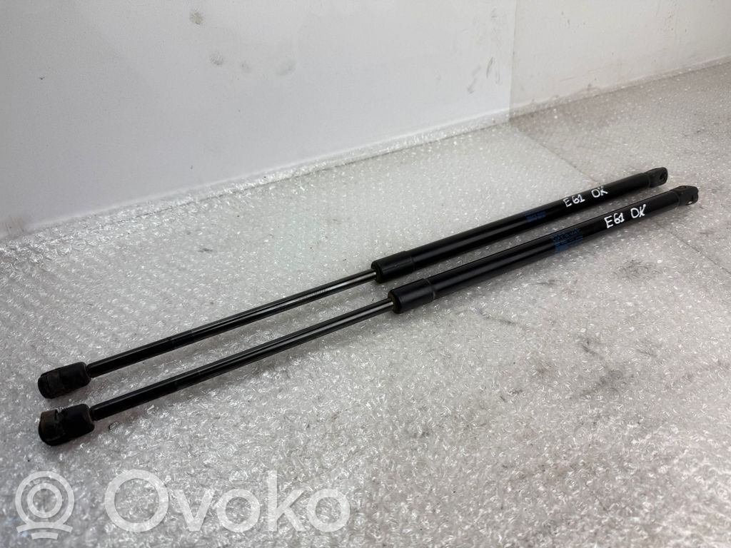 Tailgate/trunk strut/damper   355416,0680N