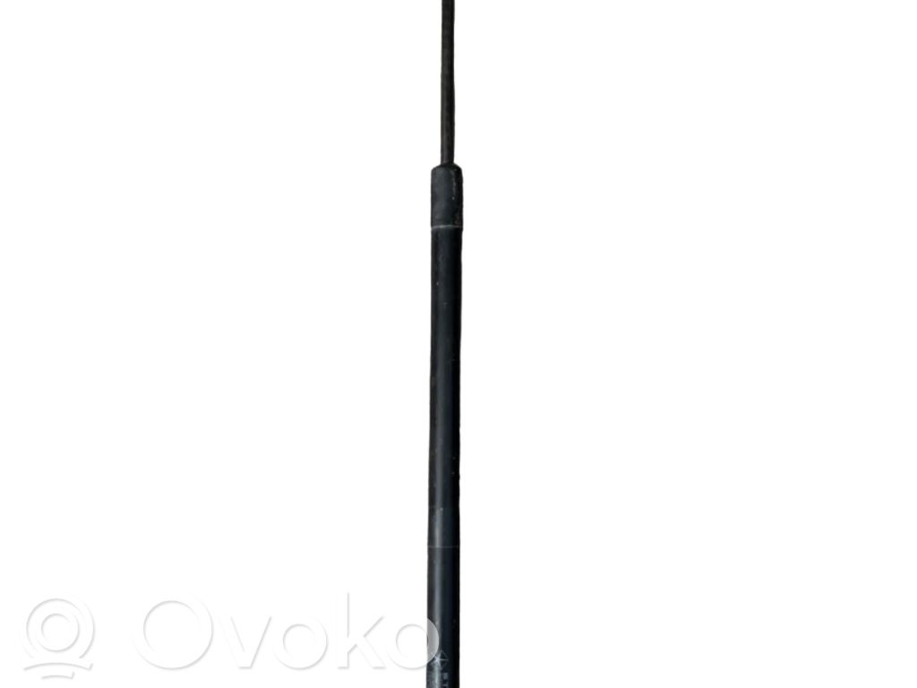 Dodge Durango Tailgate/trunk strut/damper 