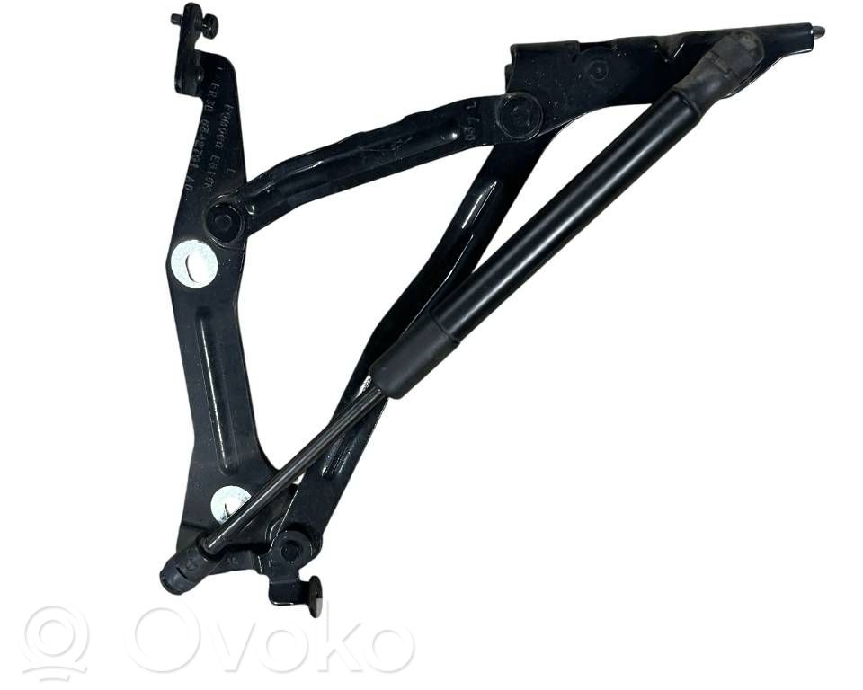 Ford Mustang VI Tailgate/trunk/boot hinge 