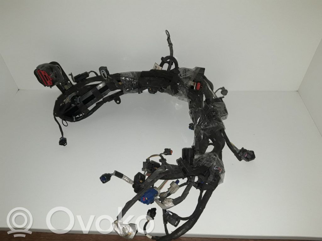 Ford Fiesta Engine installation wiring loom 