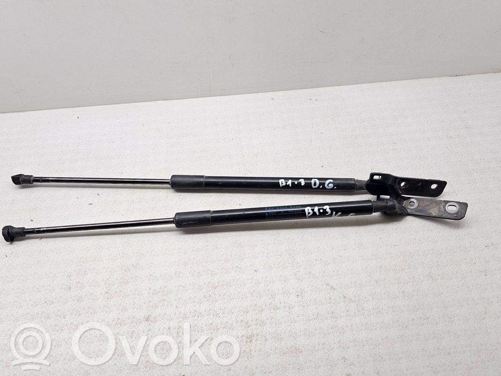 BMW 1 F20 F21 Amortiguador/puntal del maletero/compartimento de carga 