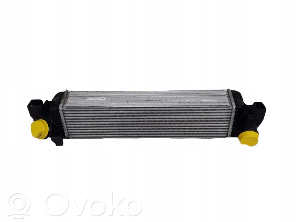 Coolant radiator   BK218005CB