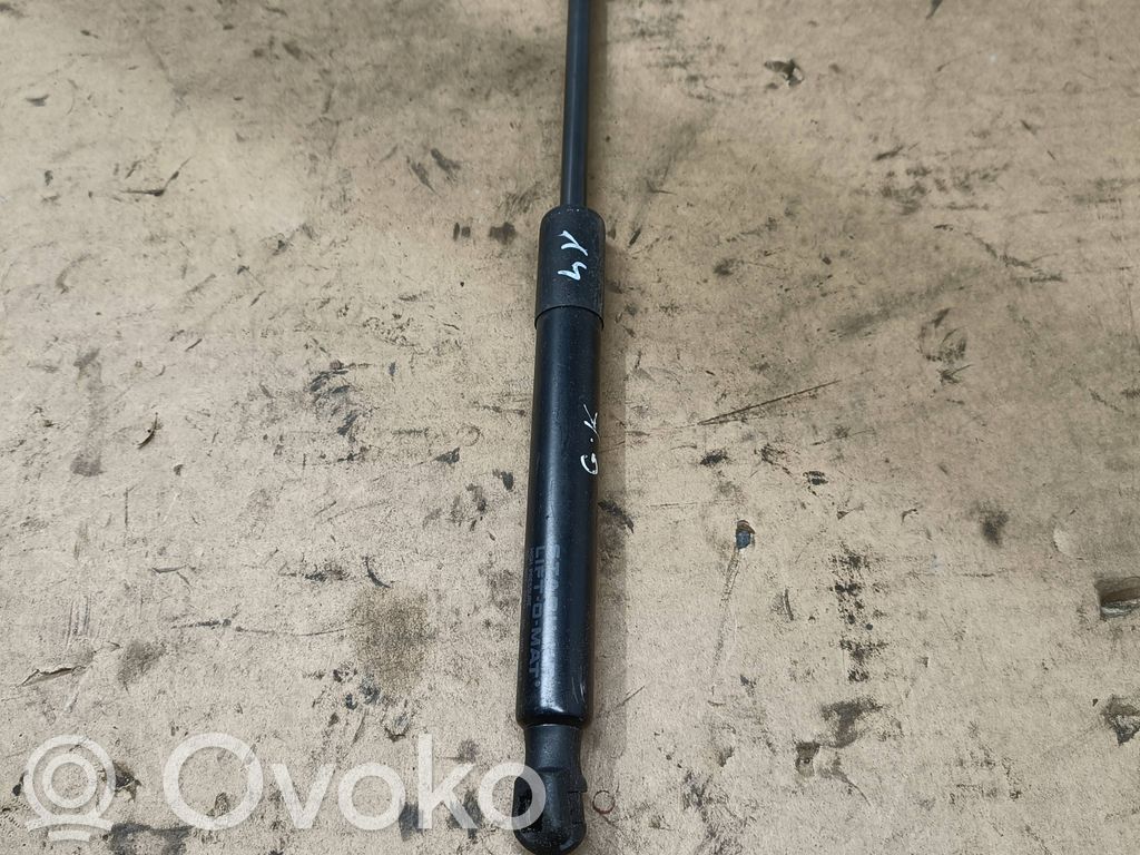 Tesla Model 3 Tailgate/trunk strut/damper 