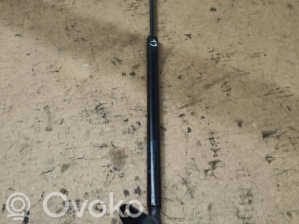 Audi Q5 SQ5 FY Tailgate/trunk strut/damper 