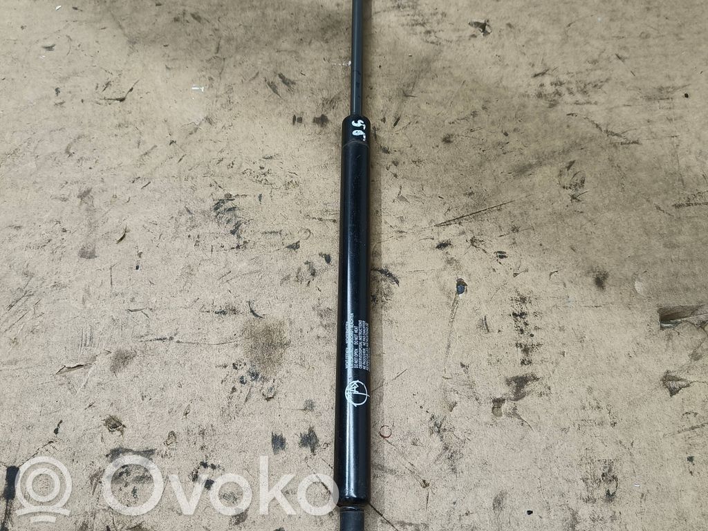 Tailgate/trunk strut/damper   3C9827550
