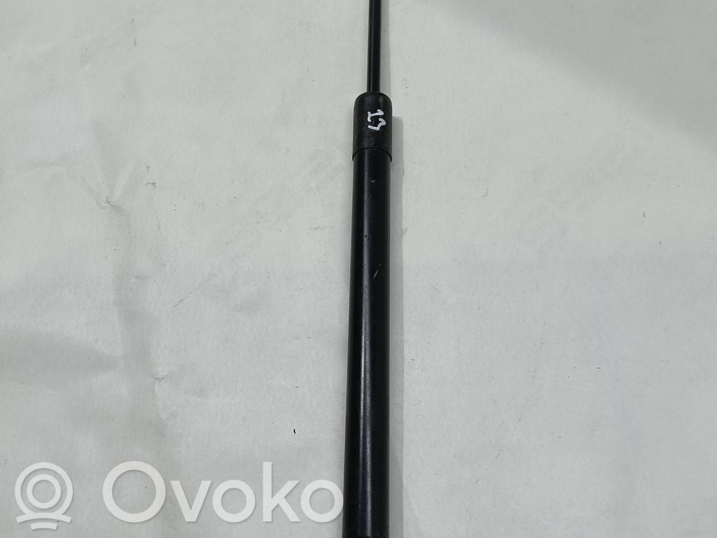 Dacia Sandero Tailgate/trunk strut/damper 