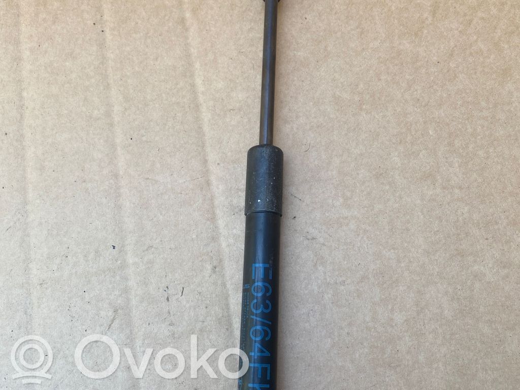 BMW M6 Front bonnet/hood damper/strut 