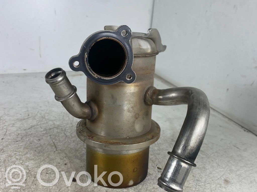 Volkswagen Golf VII Refrigerador de la válvula EGR 