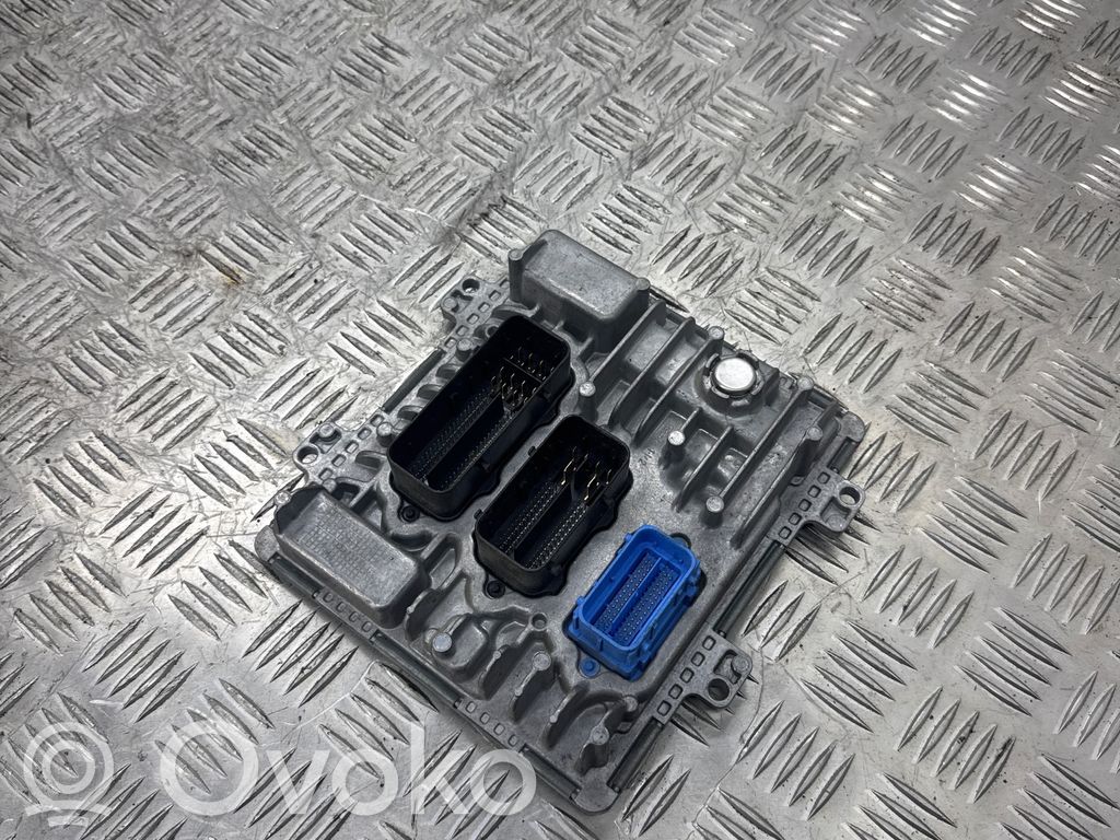 Engine control unit/module   55501572,395357783,1310101000000X,55499359