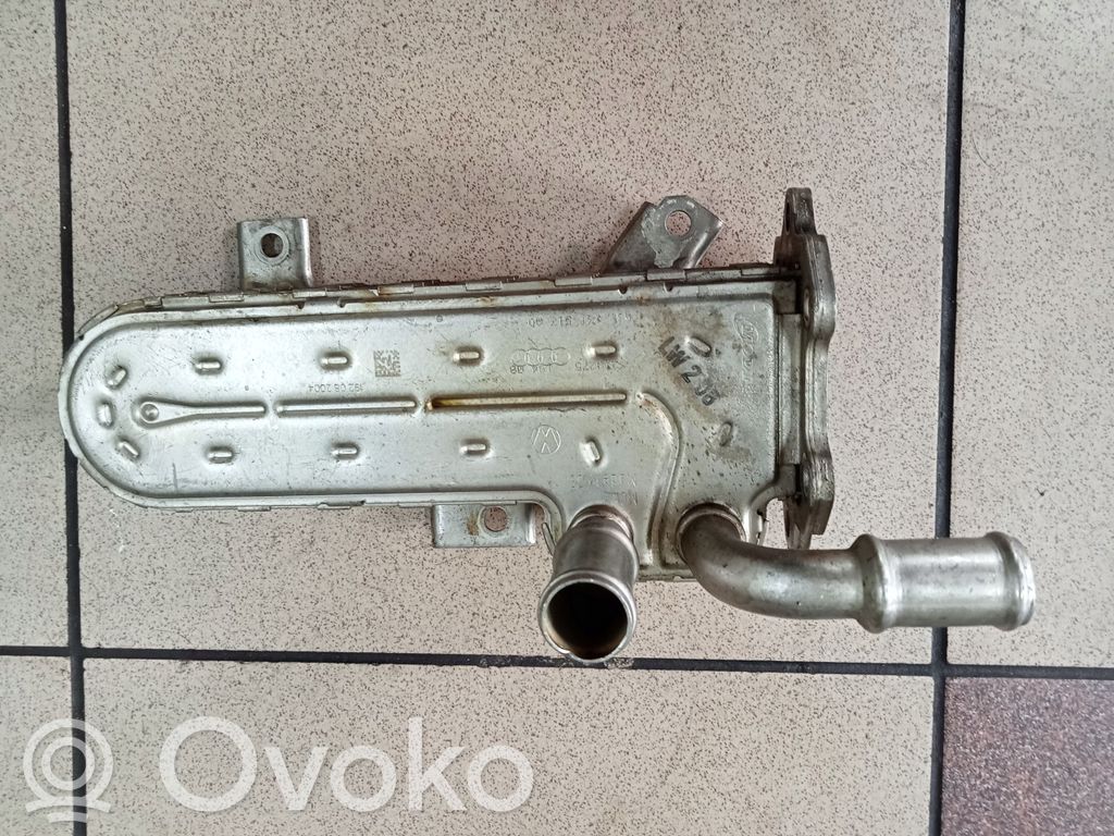 Volkswagen Golf V Refrigerador de la válvula EGR 