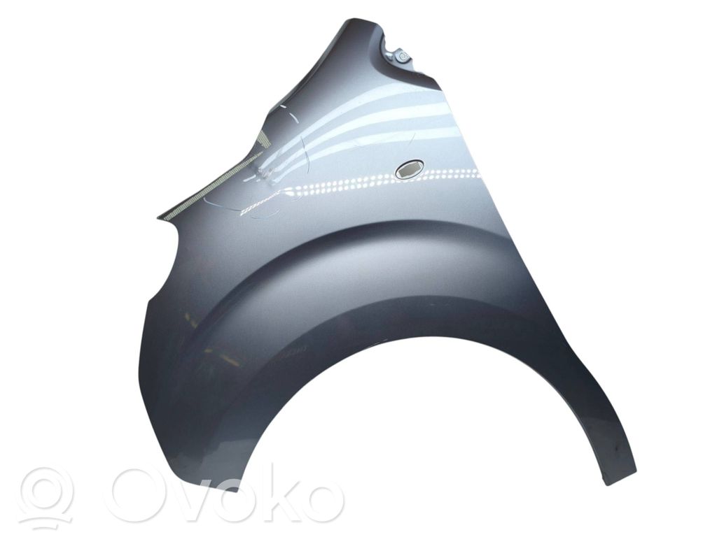 Fender