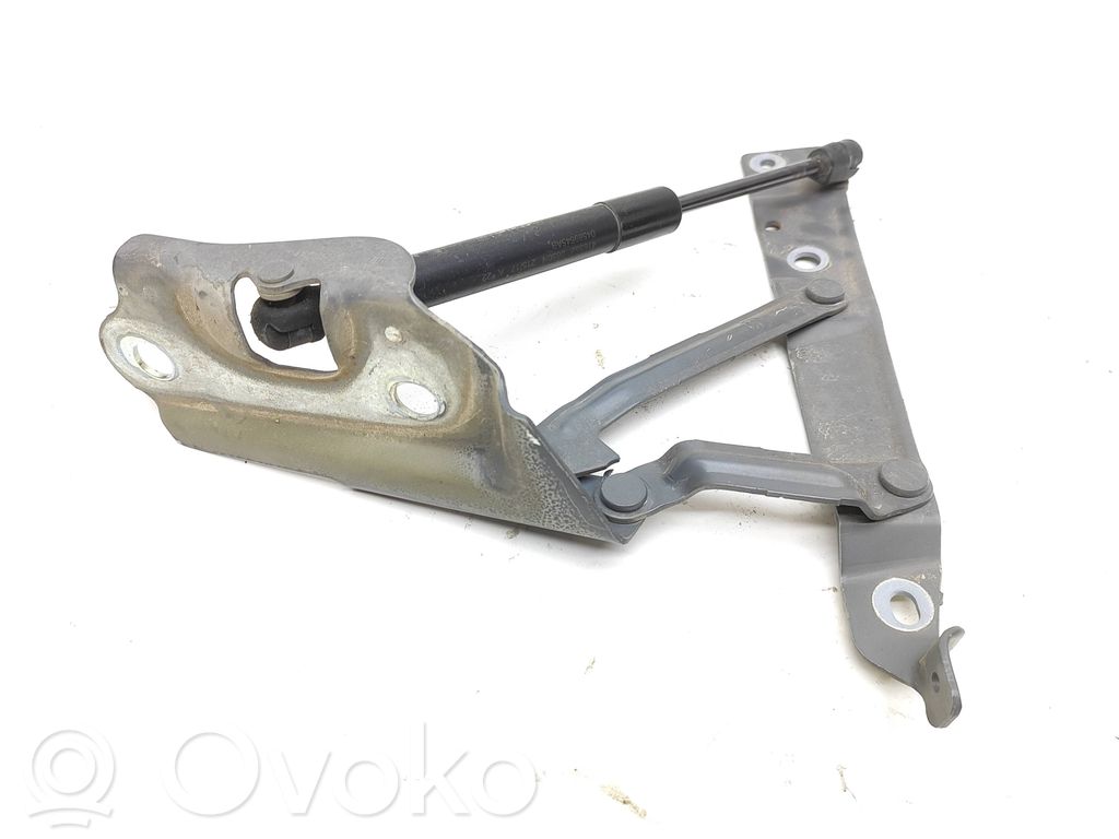 Tailgate/trunk/boot hinge   04589666