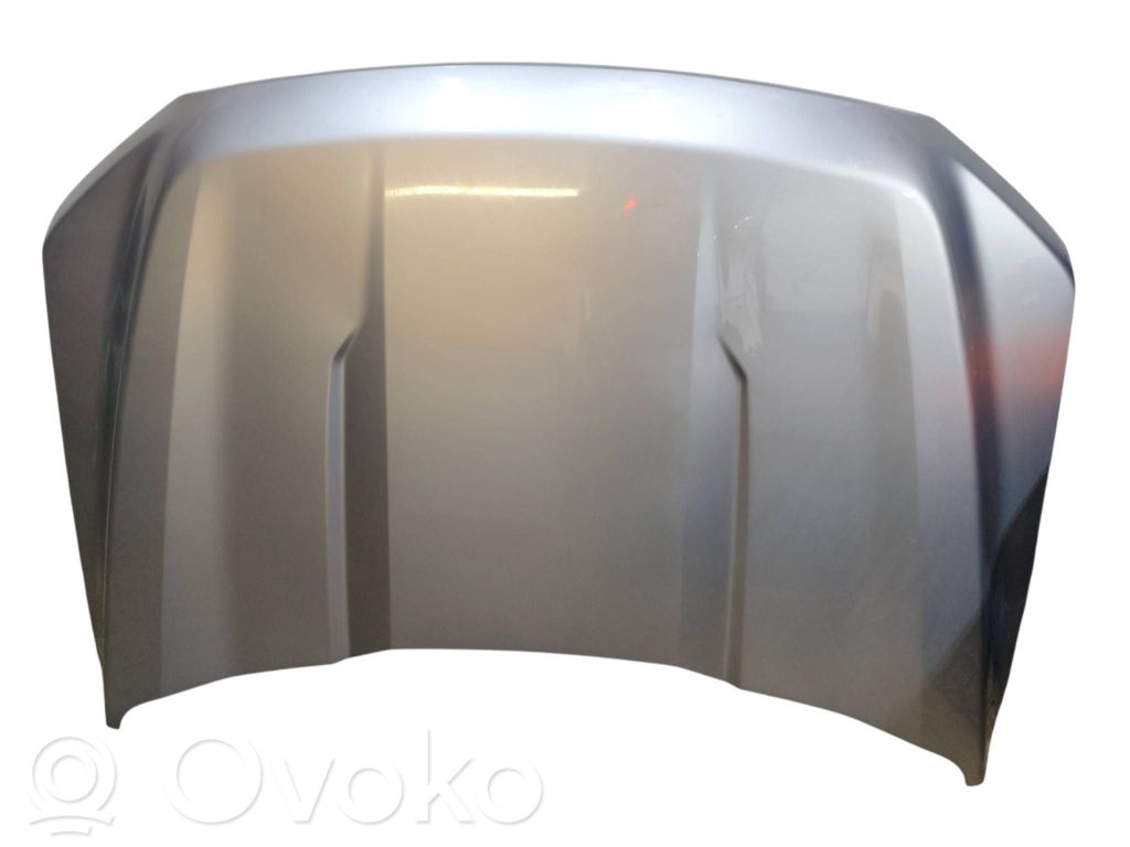 Motorhaube