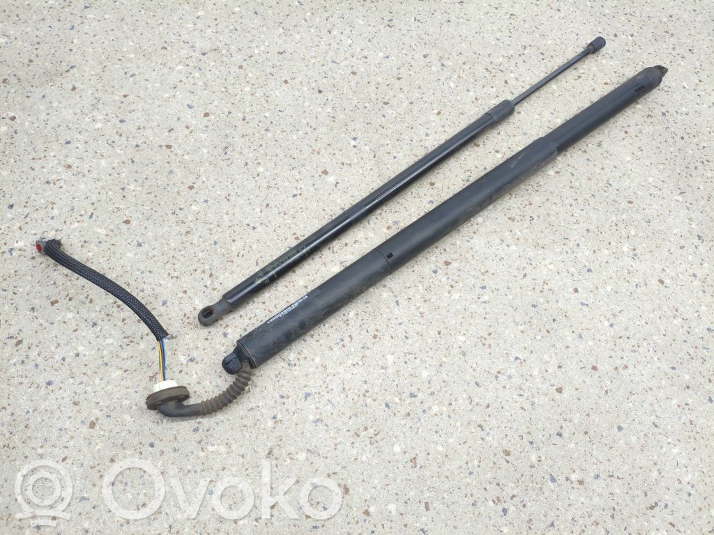 Chrysler Pacifica Tailgate/trunk strut/damper 