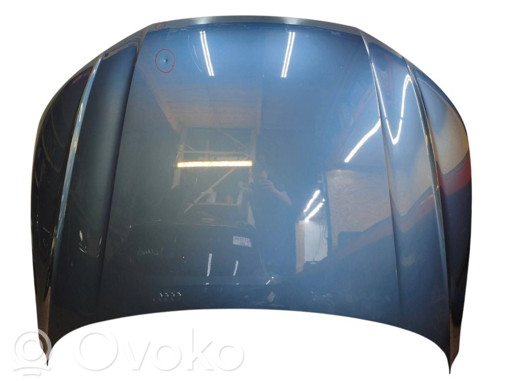 Motorhaube