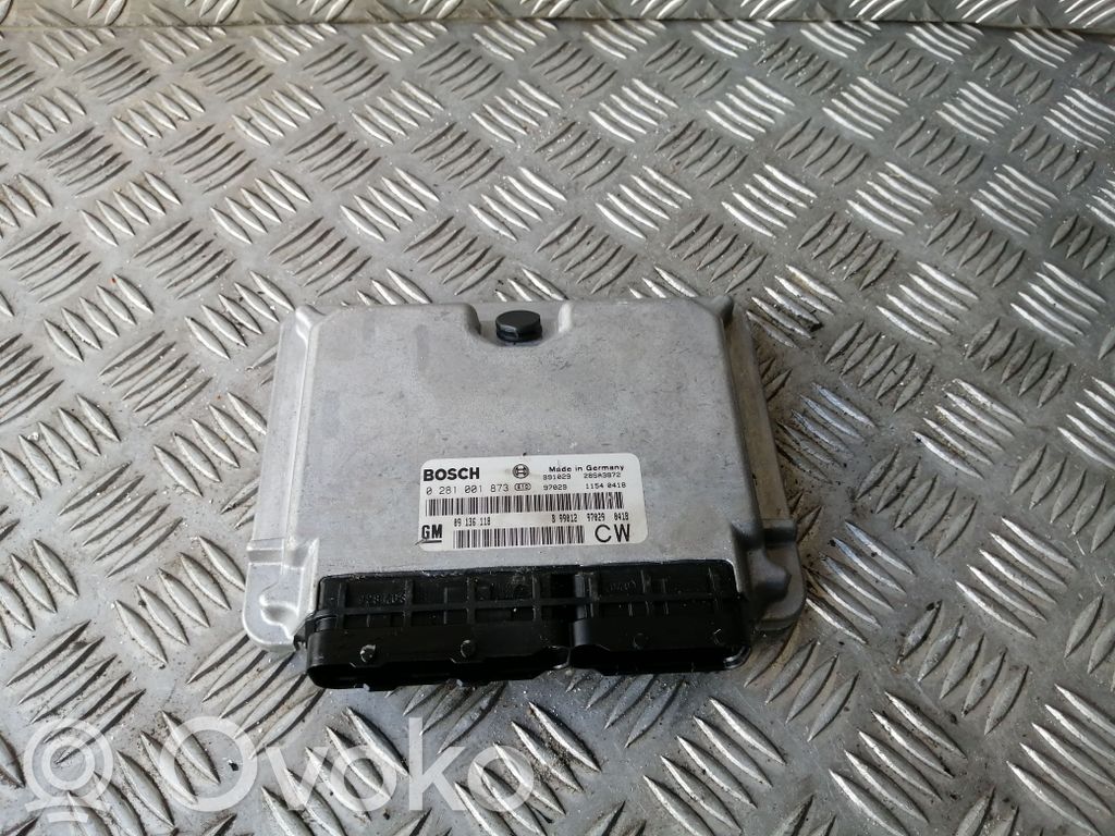 Engine control unit/module   09136118,0281001873