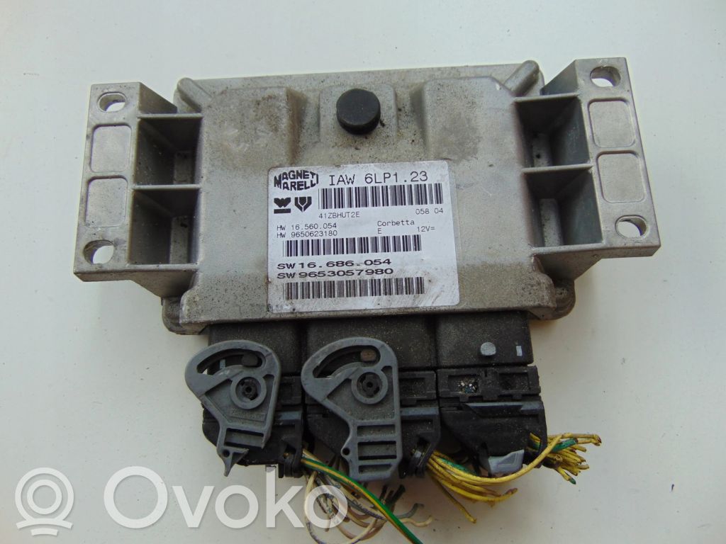 Engine control unit/module   9650623180,9653057980