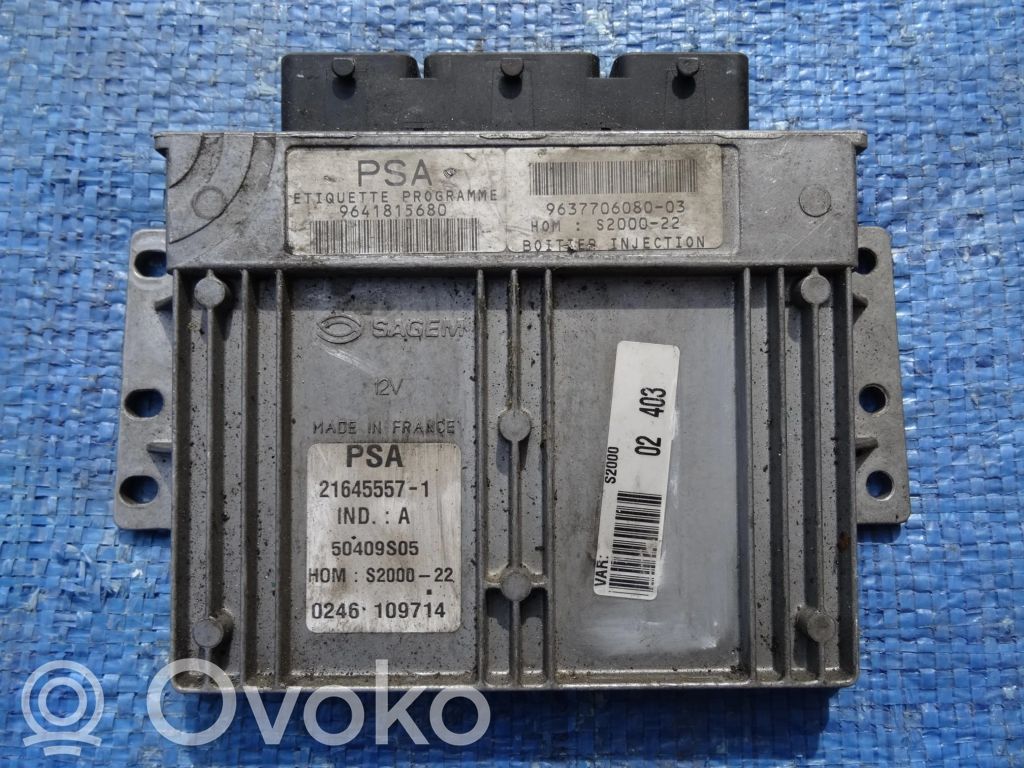 Peugeot 306 Engine control unit/module 