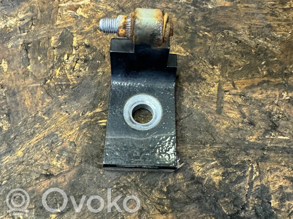 BMW X5 E70 Front door lower hinge 