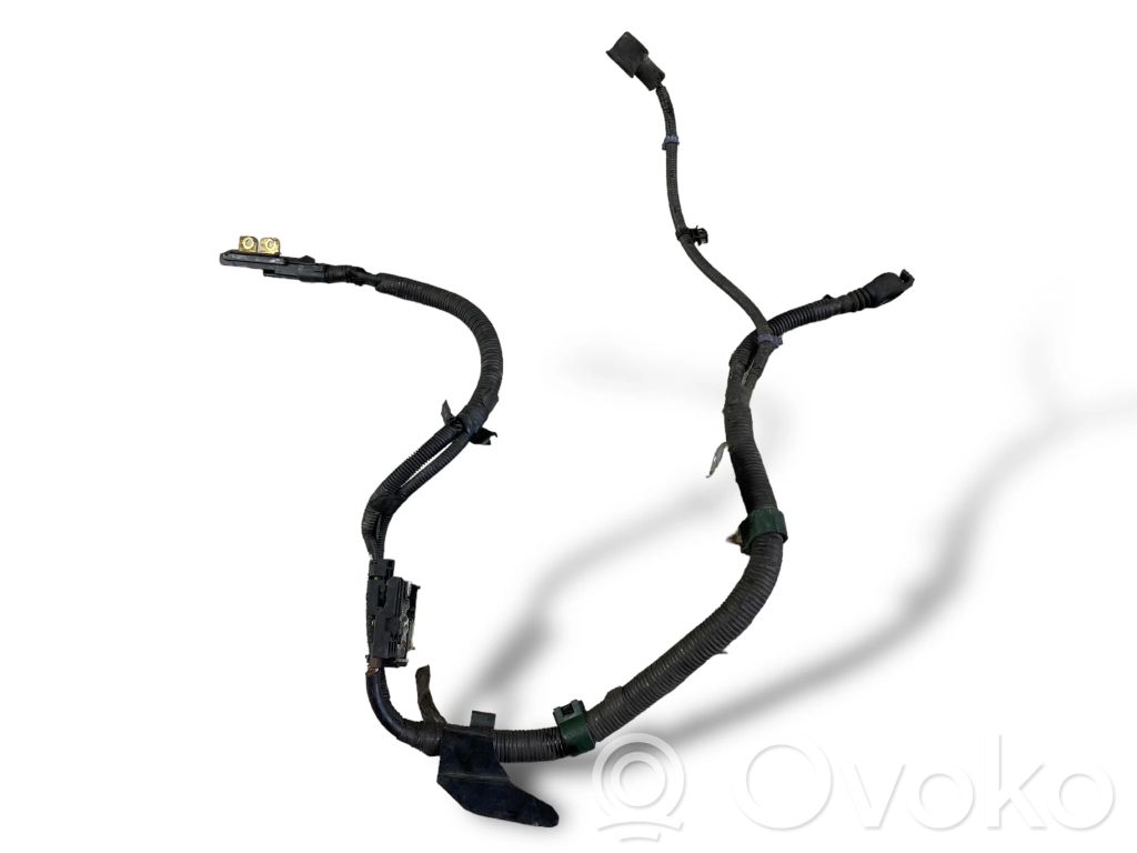 Plusa vads (akumulatora)