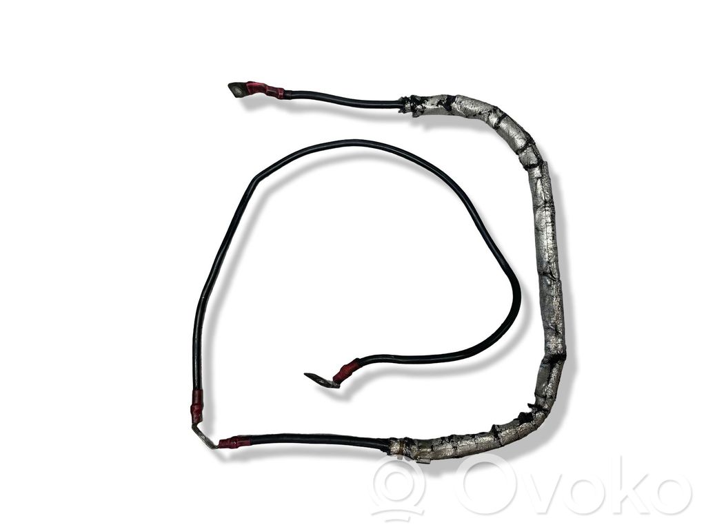 Plusa vads (akumulatora)