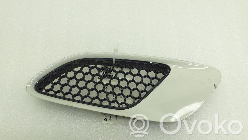 8042978 BMW 3 E92 E93 Ziergitter Motorhaube, 29.99 € | RRR