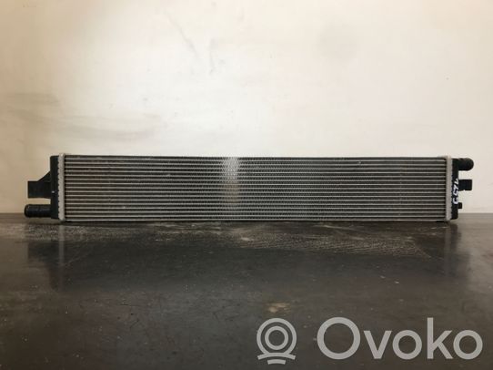 Vaihtoehtoinen jäähdytin   214C10001R