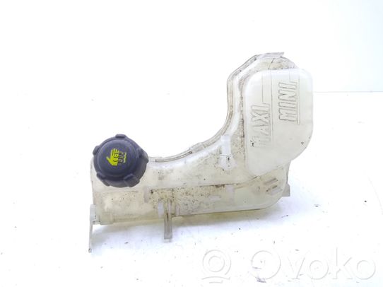 Serbatoio di compensazione del liquido refrigerante/vaschetta   217100014R