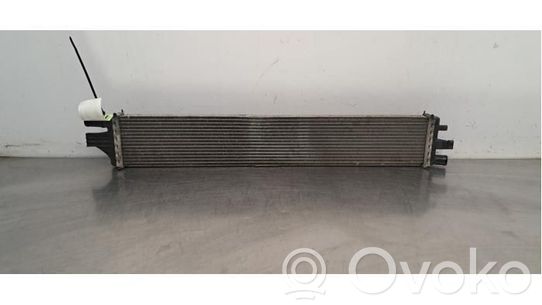 Jäähdyttimen lauhdutin   214C10001R