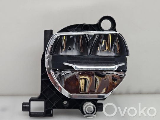 Priekinio žibinto detalė   18600301,18725301,00018451